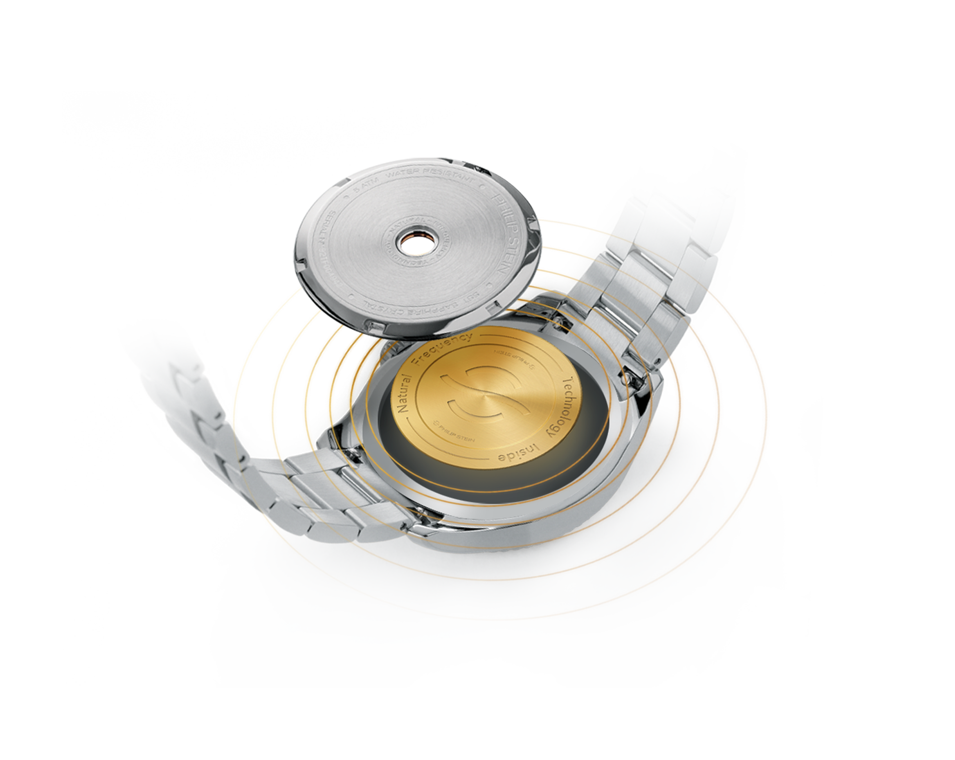 Philip stein 2025 usa website