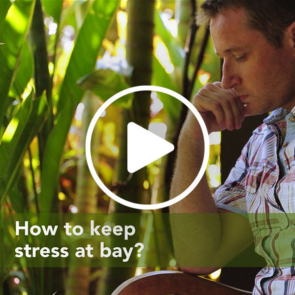 How to keep stress at bay? Philip Stein