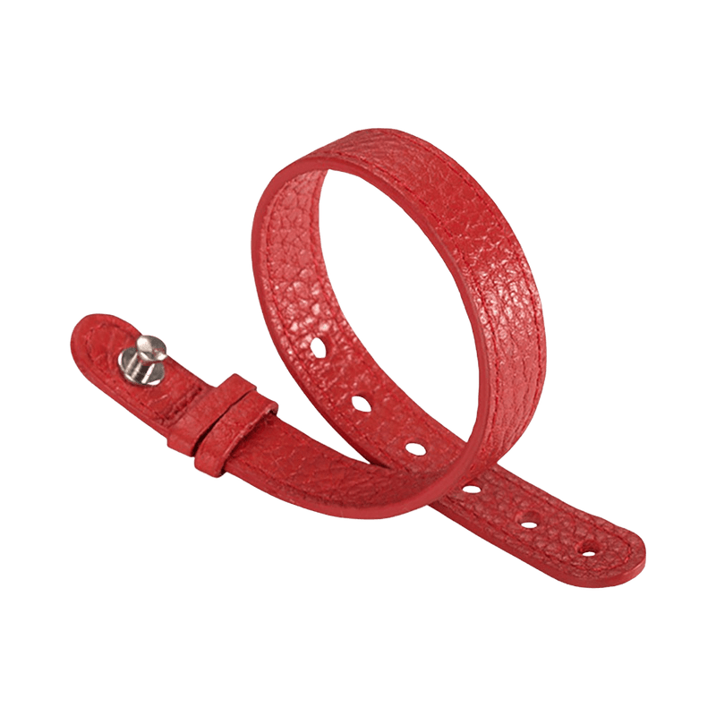 Red Leather Strap - For Steel Icon - Model 10S-CRST - Philip Stein Strap